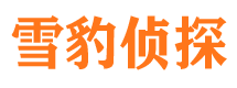 廊坊找人公司